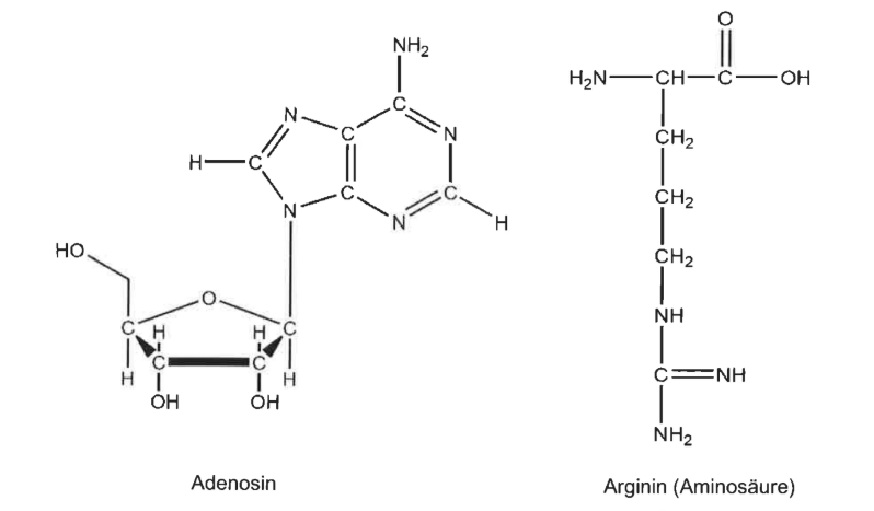Strukturformeln von Adenosin und der Aminosäure Arginin.